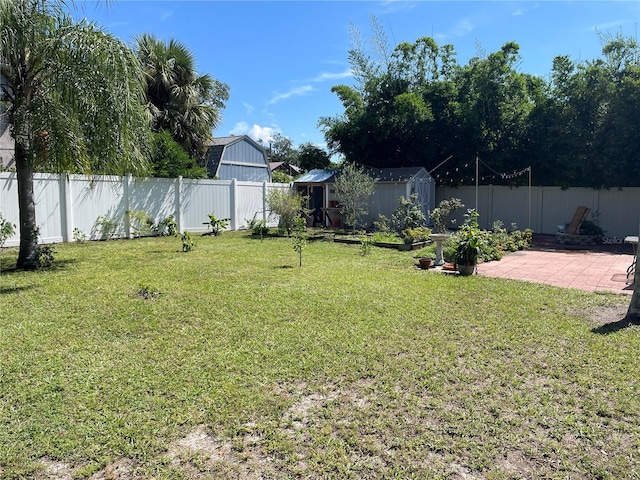 view of yard featuring a patio and a storage shed