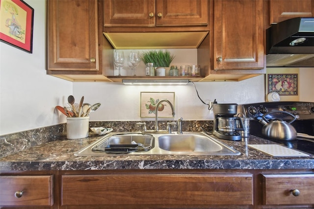 kitchen with sink, stainless steel range with electric cooktop, and range hood