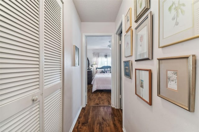 hall featuring a textured ceiling and dark hardwood / wood-style floors