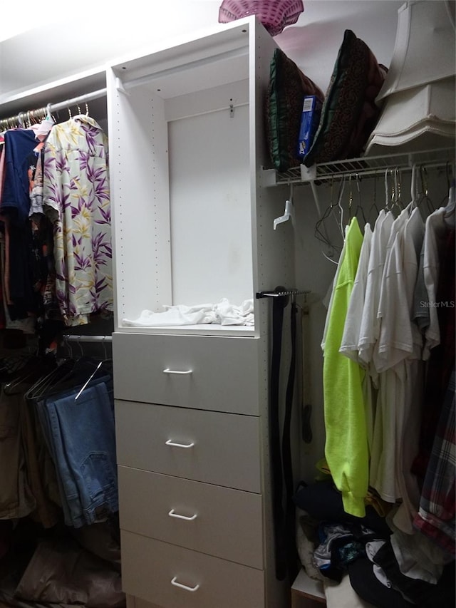 view of spacious closet