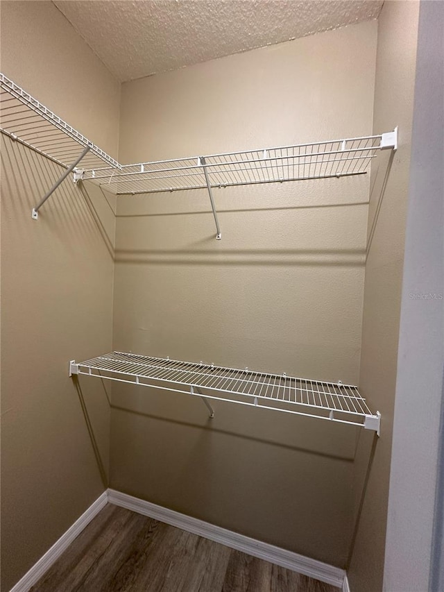 spacious closet with dark wood-type flooring