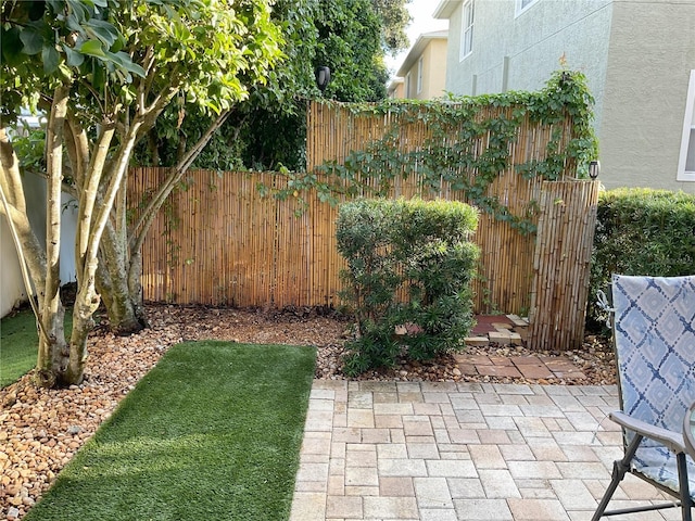 view of yard featuring a patio