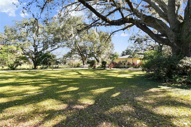 view of yard