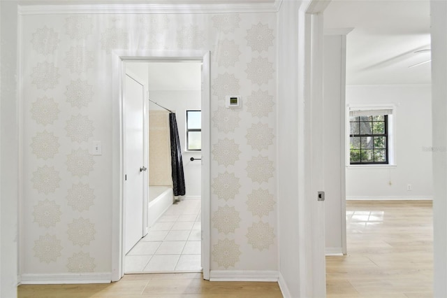 hallway with ornamental molding and light hardwood / wood-style floors