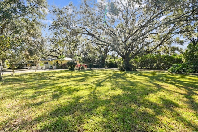 view of yard