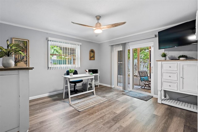 home office with ceiling fan, crown molding, and hardwood / wood-style floors