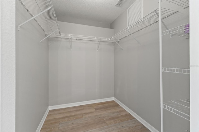 spacious closet with wood-type flooring