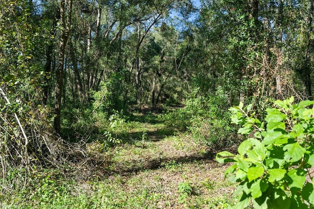 16629 Caldwell Ln, Spring Hill, FL 34610