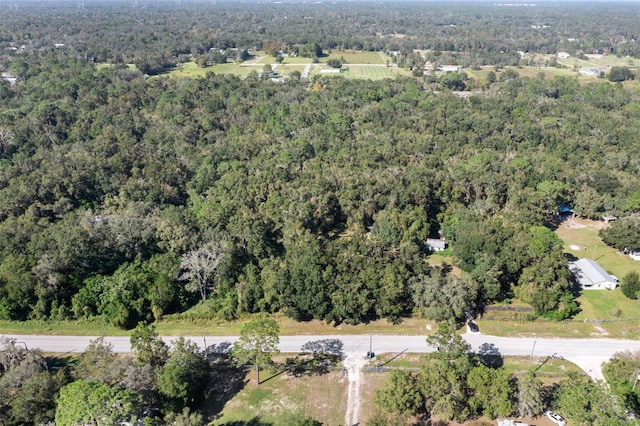 16629 Caldwell Ln, Spring Hill, FL 34610