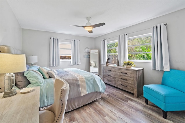 bedroom featuring multiple windows, wood-type flooring, and ceiling fan