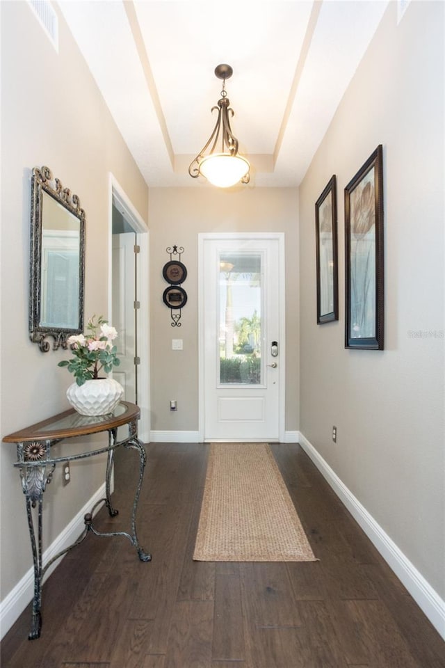 entryway featuring a tray ceiling and dark hardwood / wood-style flooring