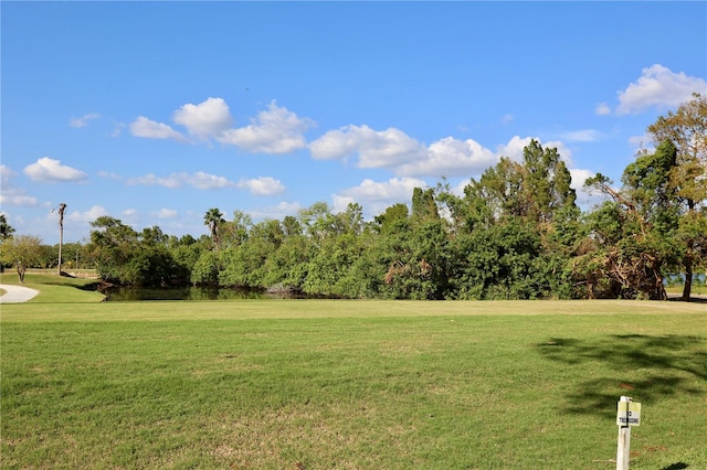 view of property's community featuring a yard