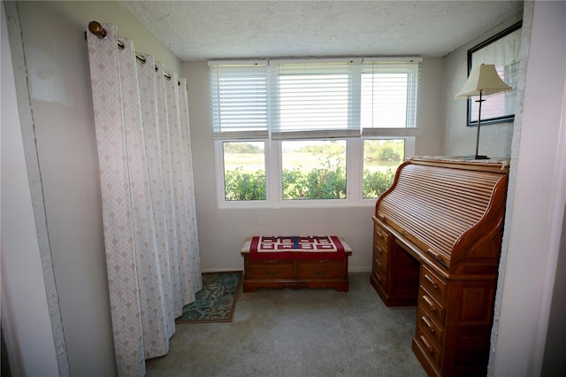 miscellaneous room featuring light carpet and a textured ceiling