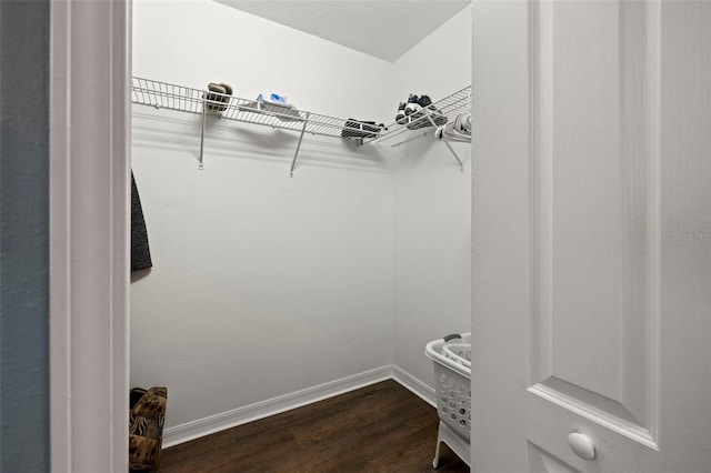 walk in closet with dark hardwood / wood-style floors