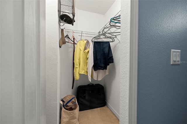 walk in closet with carpet