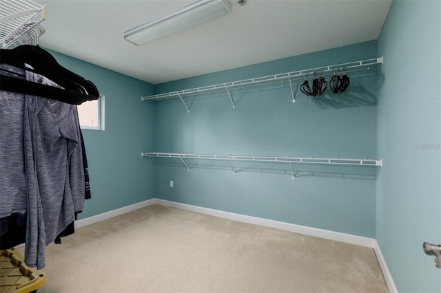 spacious closet with carpet flooring