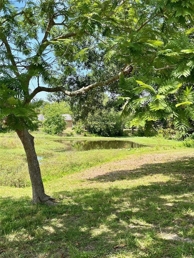 view of yard featuring a water view