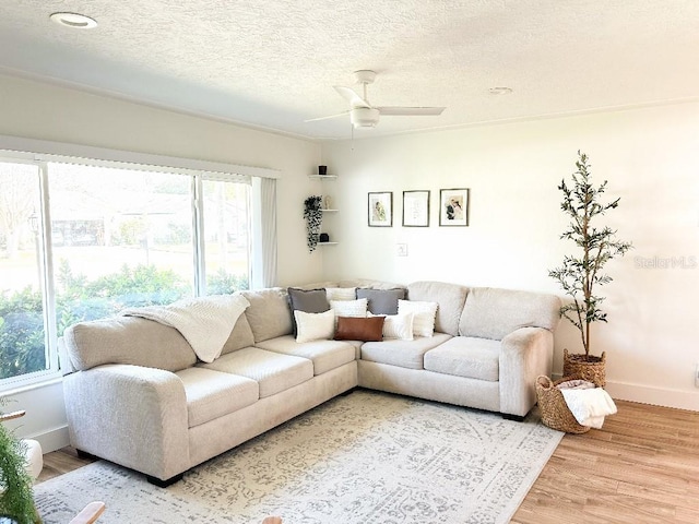 living room with ornamental molding, a textured ceiling, wood-type flooring, and ceiling fan