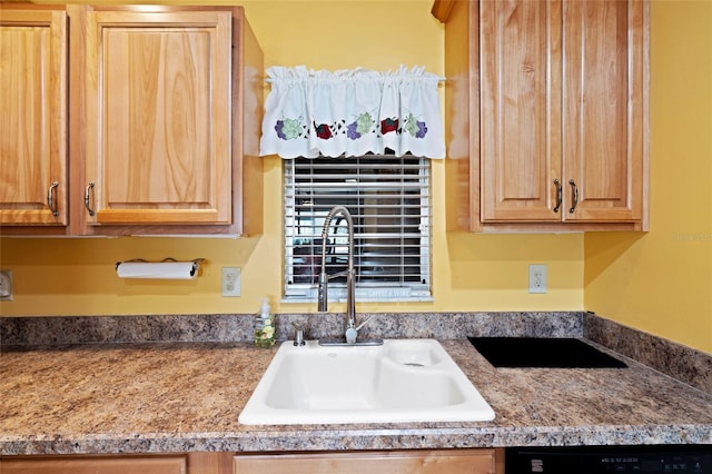 kitchen with sink and black dishwasher