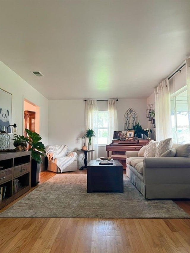 living room with hardwood / wood-style flooring