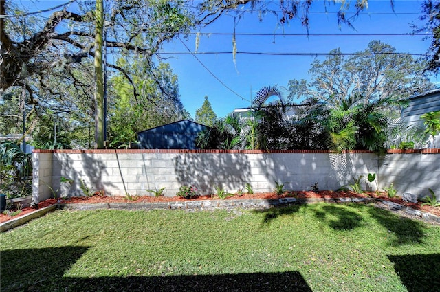 1802 E Hamilton Ave, Tampa, FL 33610 - view of fenced backyard