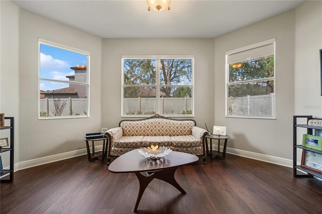 sitting room with dark hardwood / wood-style flooring