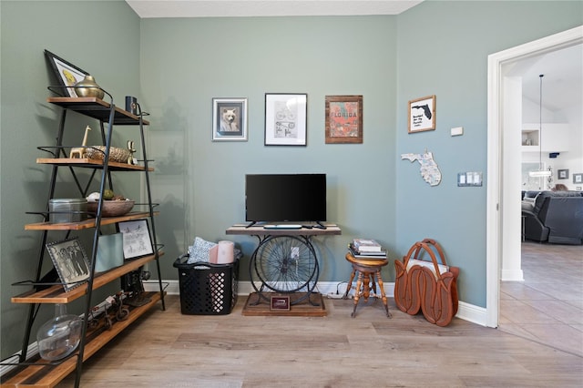 office area featuring light hardwood / wood-style floors