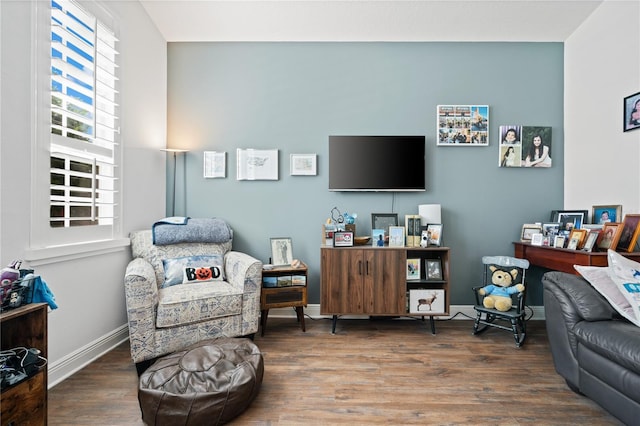 living room with wood-type flooring