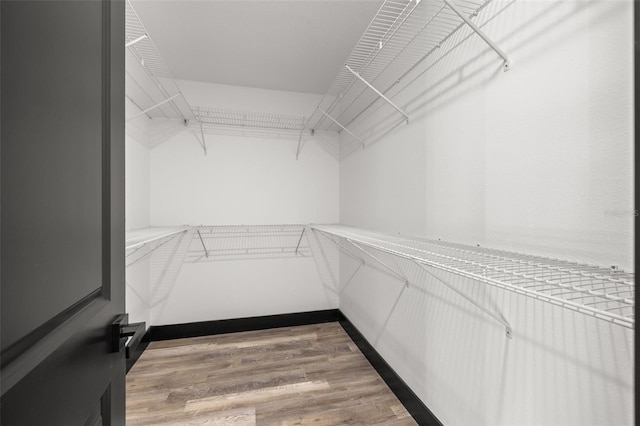 walk in closet with wood-type flooring