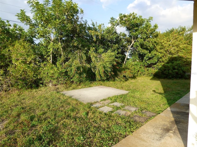 27242 Sunnybrook Rd Unit B, Punta Gorda, FL 33983 - view of green lawn with a patio area