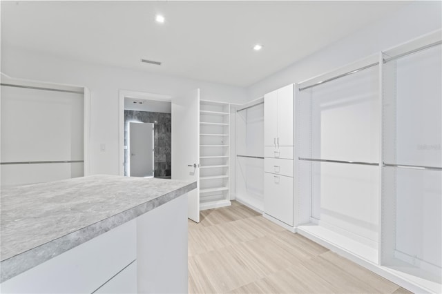 2912 W Santiago St Unit 1901, Tampa, FL 33629 - view of spacious closet