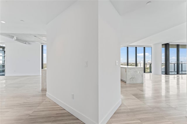 2912 W Santiago St Unit 1901, Tampa, FL 33629 - hallway featuring expansive windows, healthy amount of natural light, and baseboards