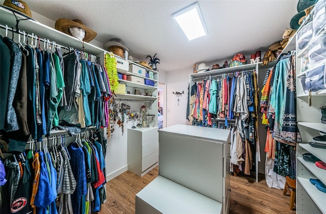 spacious closet with hardwood / wood-style floors