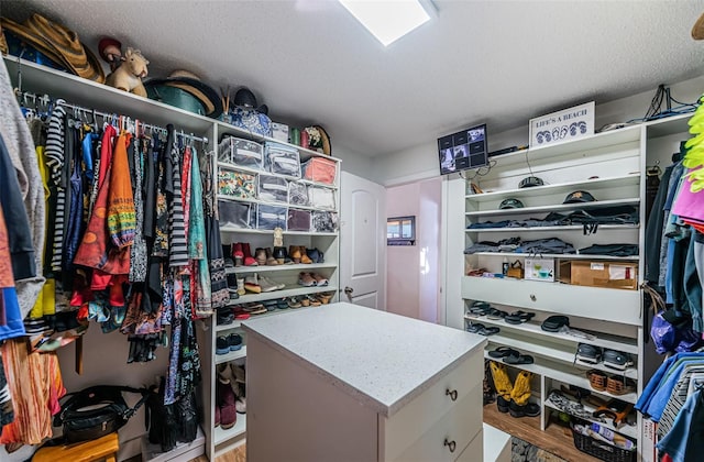 spacious closet with hardwood / wood-style floors