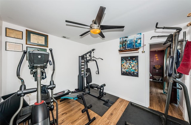 workout room featuring hardwood / wood-style floors and ceiling fan