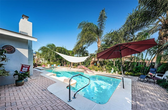 view of pool featuring a patio