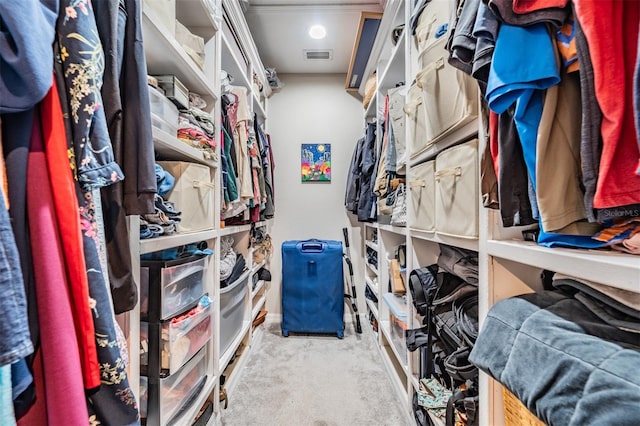 spacious closet with light colored carpet