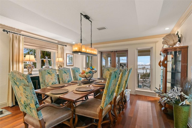 dining room featuring dark wood-type flooring and a healthy amount of sunlight