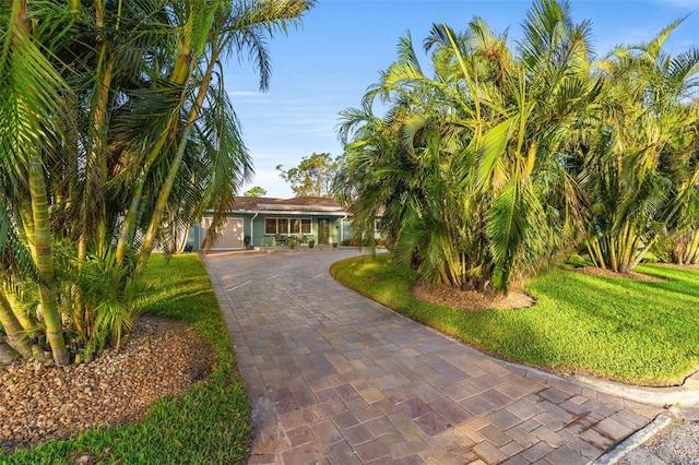 view of front of home featuring a front lawn