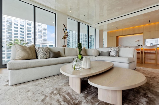 living room featuring a wall of windows and a healthy amount of sunlight