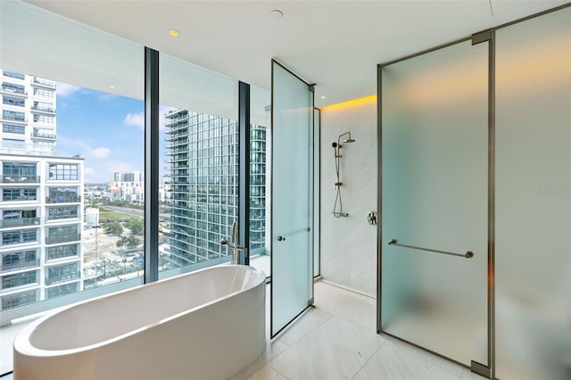 bathroom with expansive windows and plus walk in shower