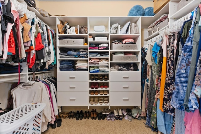 walk in closet with carpet floors