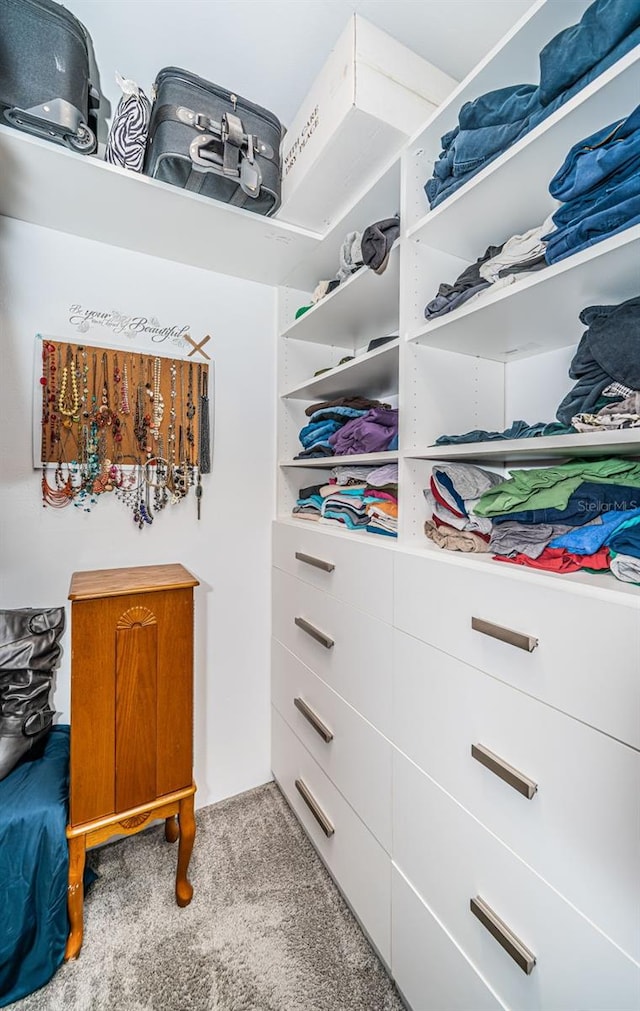 walk in closet with light carpet