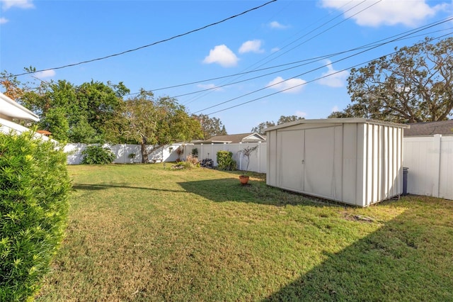 view of yard with a storage unit