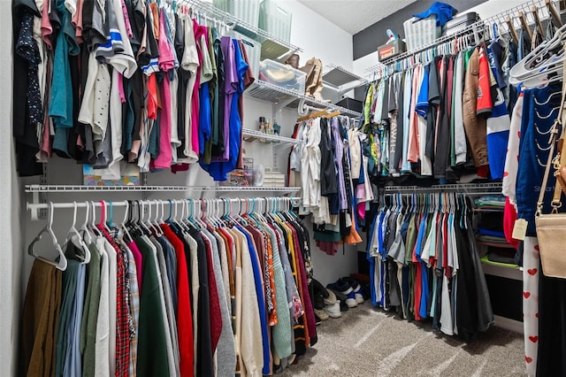 walk in closet featuring carpet