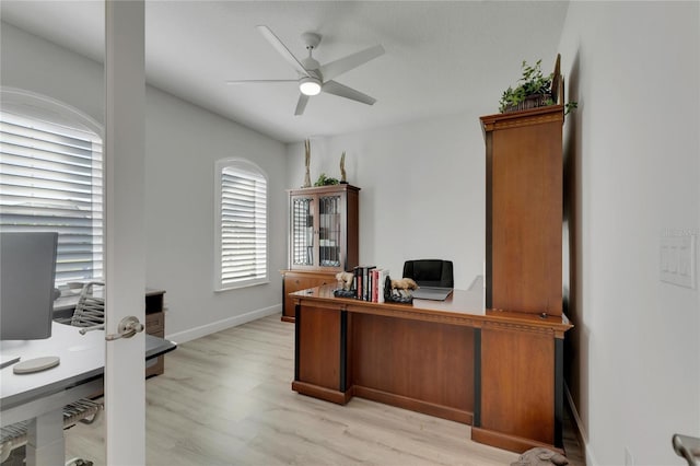 office featuring light hardwood / wood-style floors and ceiling fan