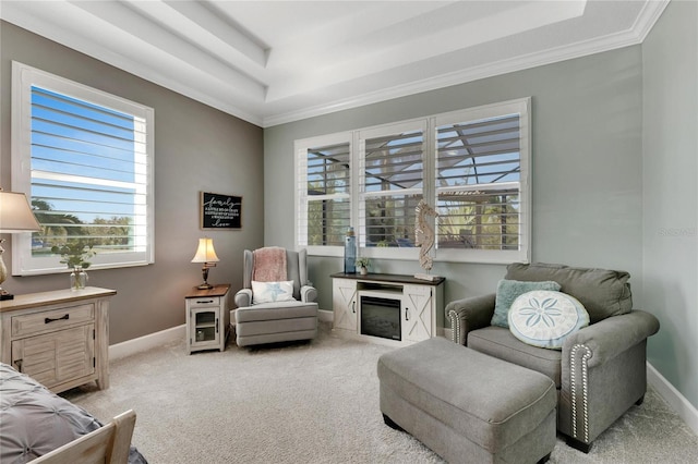 sitting room with a raised ceiling, ornamental molding, and light colored carpet