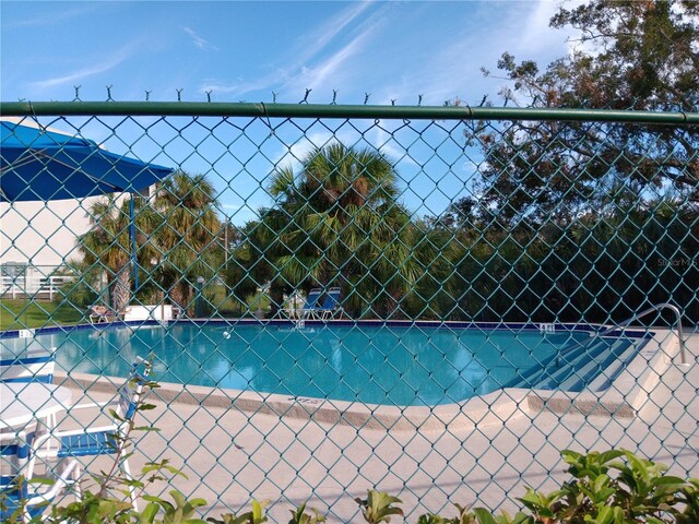 2625 State Road 590 Unit 2412, Clearwater, FL 33759 - view of pool
