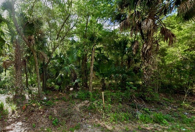 Se 167 Court, Ocklawaha, FL 32179
