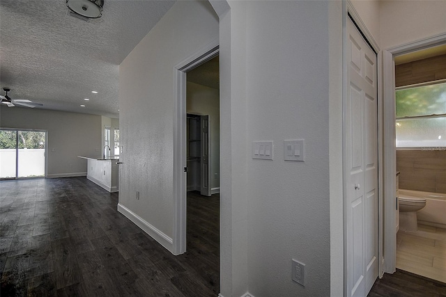 corridor featuring a textured ceiling, sink, and dark wood-type flooring